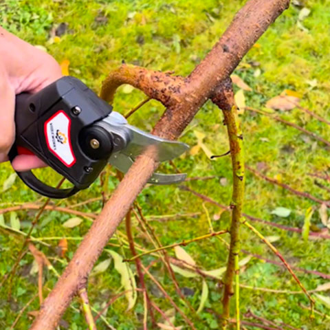 Electric Pruning Shears Professional Cordless